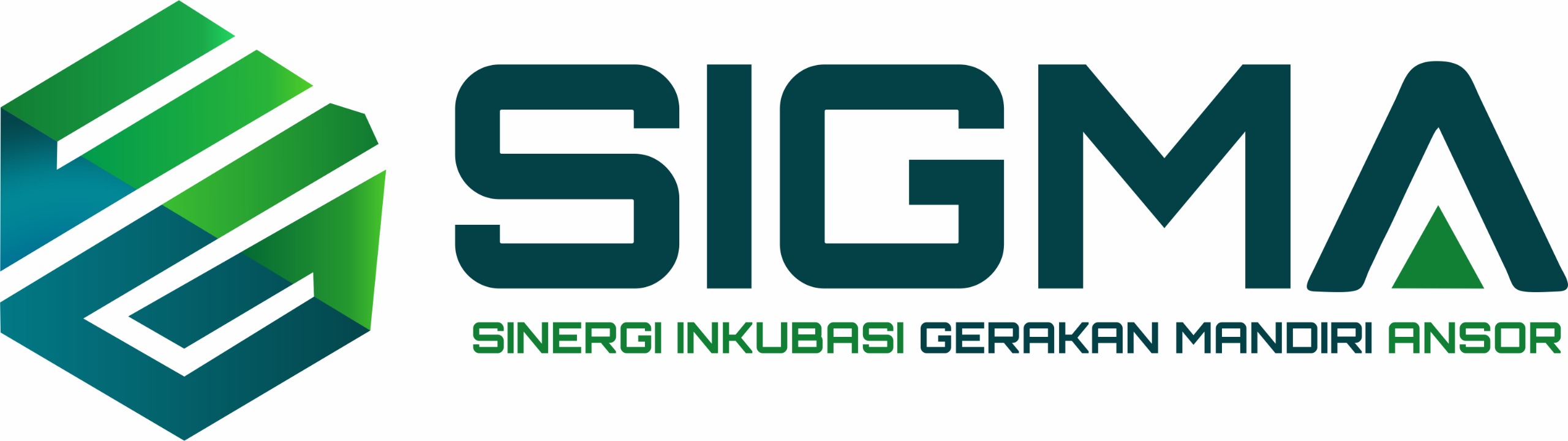 Perkuat  gerakan ekonomi  Terintegrasi,  ANSOR LAMPUNG  launching SIGMA  APP